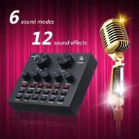 Live Sound Card Microphone Set Voice Changer Multifunctional USB Audio Interface Intelligent Volume Mic External Sound Card for Live Broadcast