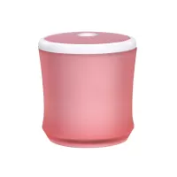 Terratec 145356 portable speaker Pink 2.2 W