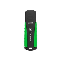 Transcend JetFlash 810 USB flash drive 256 GB USB Type-A 3.2 Gen 1...