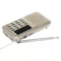 Y-896 Mini FM Radio Digital Portable 3W Stereo Speaker