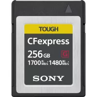 Sony CEB-G256 memory card 256 GB PC Card
