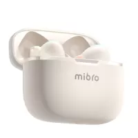 MIBRO AC1 Wireless Earbuds True BT Earphone